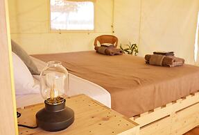 Mount Hart Wilderness Lodge