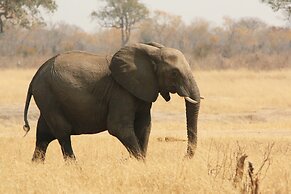 Victoria Falls Safari Suites