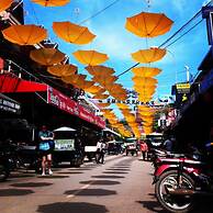 La Palmeraie. D'angkor