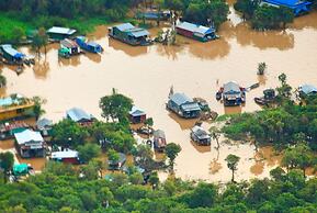La Palmeraie. D'angkor