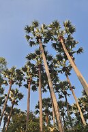 La Palmeraie. D'angkor