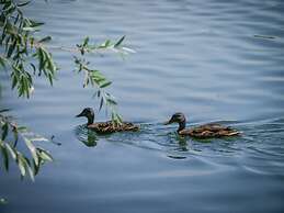 Hôtel Inn Design Resto Novo Le Mans