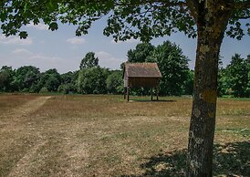 Hôtel Inn Design Resto Novo Le Mans