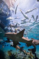 Ocean Tide Beach Resort