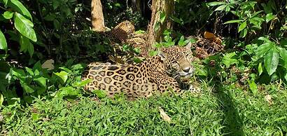 Ocean Tide Beach Resort