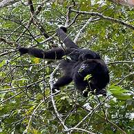 Ocean Tide Beach Resort