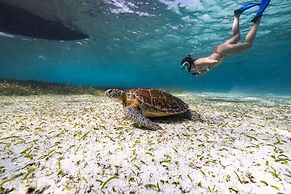 Ocean Tide Beach Resort