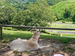 Hotel New Otani Saga