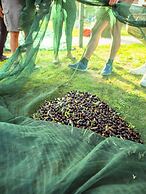 Agriturismo Podere Diacceroni