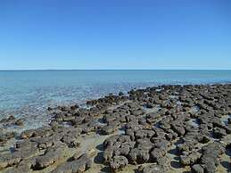 Hamelin Pool Caravan Park