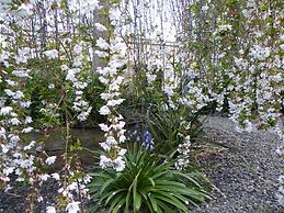 Lake Hamilton Motor Village & Caravan Park