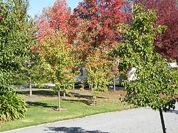 Lake Hamilton Motor Village & Caravan Park