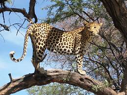 Düsternbrook Safari Guest Farm