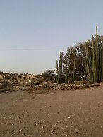 Düsternbrook Safari Guest Farm
