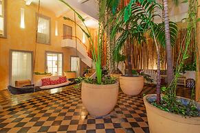 Masaya Collection La Passion