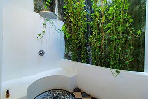 Masaya Collection La Passion