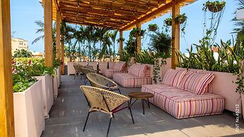 Masaya Collection La Passion