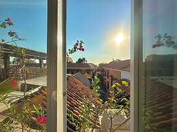 Masaya Collection La Passion