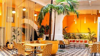 Masaya Collection La Passion