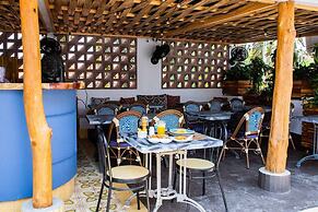 Masaya Collection La Passion