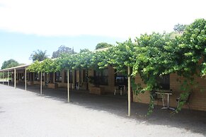 Angaston Vineyards Motel