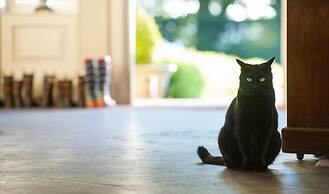 The Elms Hotel and Spa