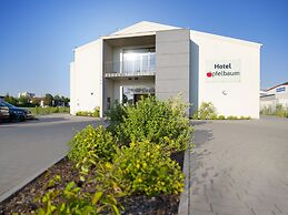 Hotel Apfelbaum