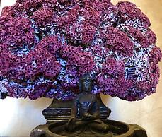 Hotel De La Ville Relais