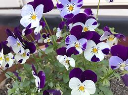 Kurrara Historic Guest House