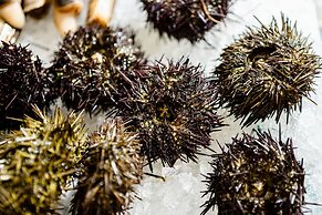 Hotel Villa Zaccardi