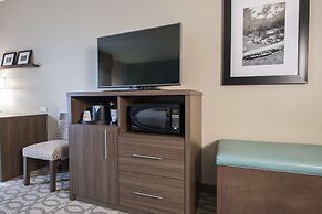 Hampton Inn Greenville/I-385 Haywood Mall