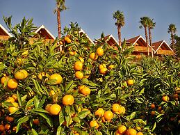 Jeju Jungmun Log Pension & Resort