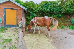 Jeju Jungmun Log Pension & Resort