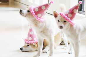 Hyatt Regency Chongming