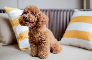 Hyatt Regency Chongming