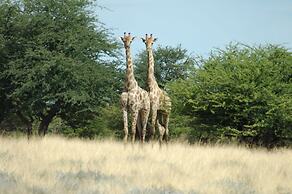 Uukwaluudhi Safari Lodge