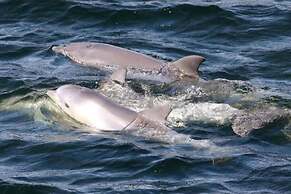 Port Adelaide Backpackers