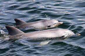 Port Adelaide Backpackers