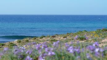 Residence Cala Verde