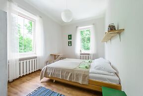 Downtown Forest Hostel & Camping