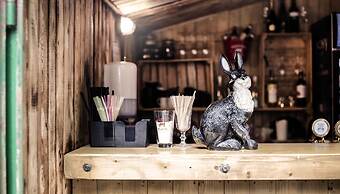 Downtown Forest Hostel & Camping