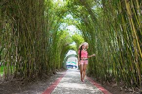 SeaGarden Beach Resort - All Inclusive