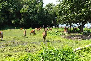 Miyajima Seaside Hotel