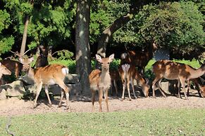 Miyajima Seaside Hotel