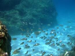 Hotel Residence Sciabache