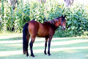 Hotel Residence Sciabache