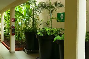 Hotel Las Palomas