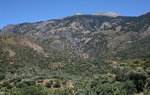 Monastery Estate Guesthouse