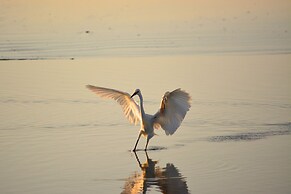 The Saint Augustine Beach House