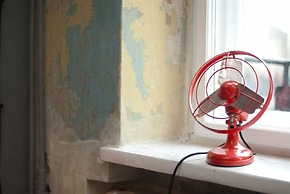 Lofthotel Sen Pszczoły